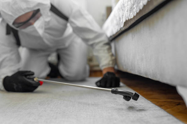 Professional Pest Control technician working in Laurel, MD