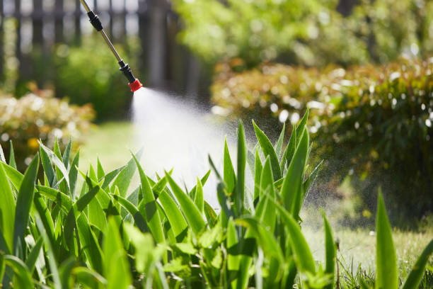 24/7 Emergency Pest Control experts in Laurel, MD