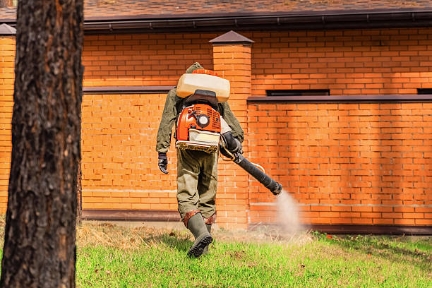 Top rated local Pest Control specialists in Laurel, MD